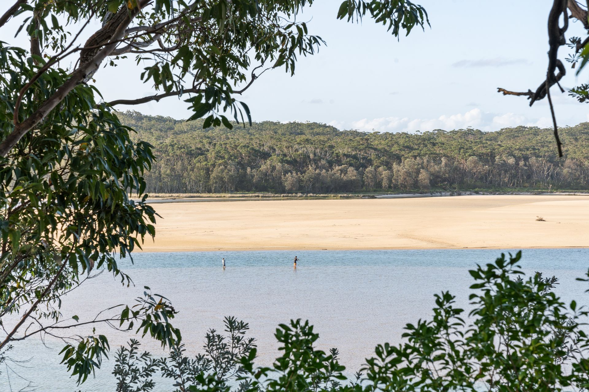Two people stand in shallow blue water, framed by leafy branches, with a sandy beach and forest in the background — SeaChange Parks Milton in Milton, NSW