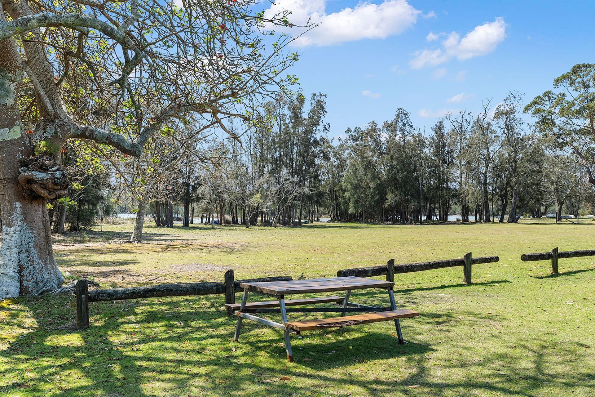 Picnic table in a grassy field with trees. Sunlight and shadows — SeaChange Parks Milton in Lake Conjola, NSW