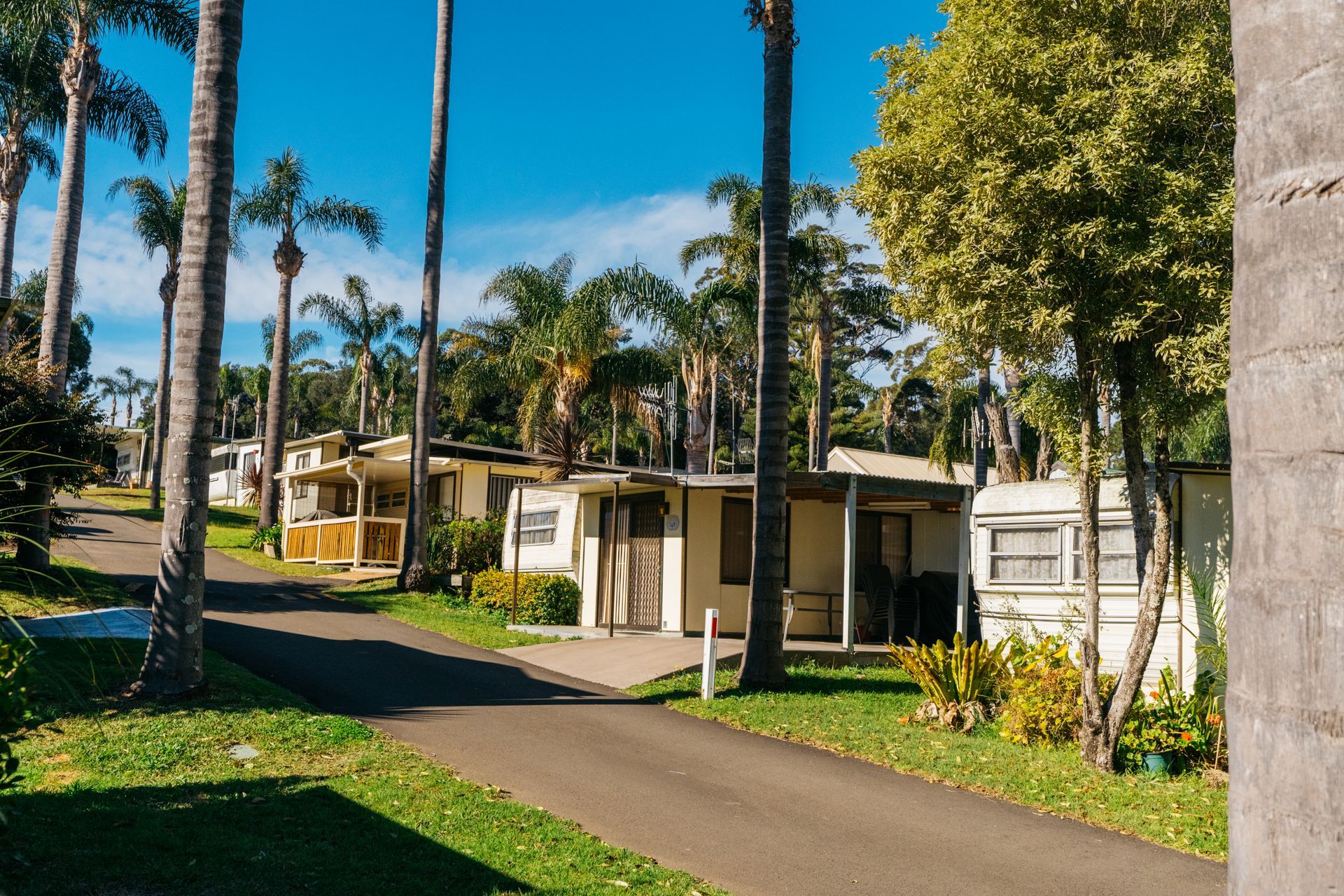 A road winds through a sunny mobile home park featuring palm trees and well-kept landscaping — SeaChange Parks Milton in Milton, NSW
