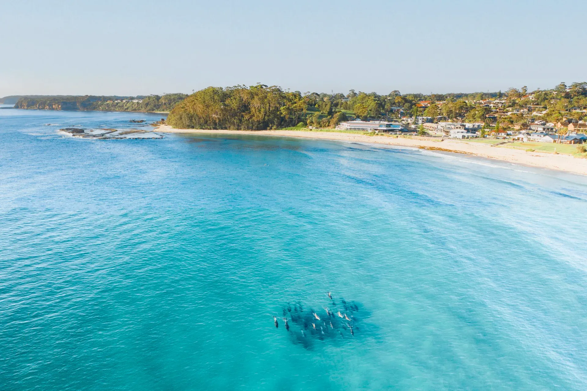 Aerial view of a sandy beach meeting blue ocean waves, with a coastal town and treed headland in the background. — SeaChange Parks Milton in Milton, NSW