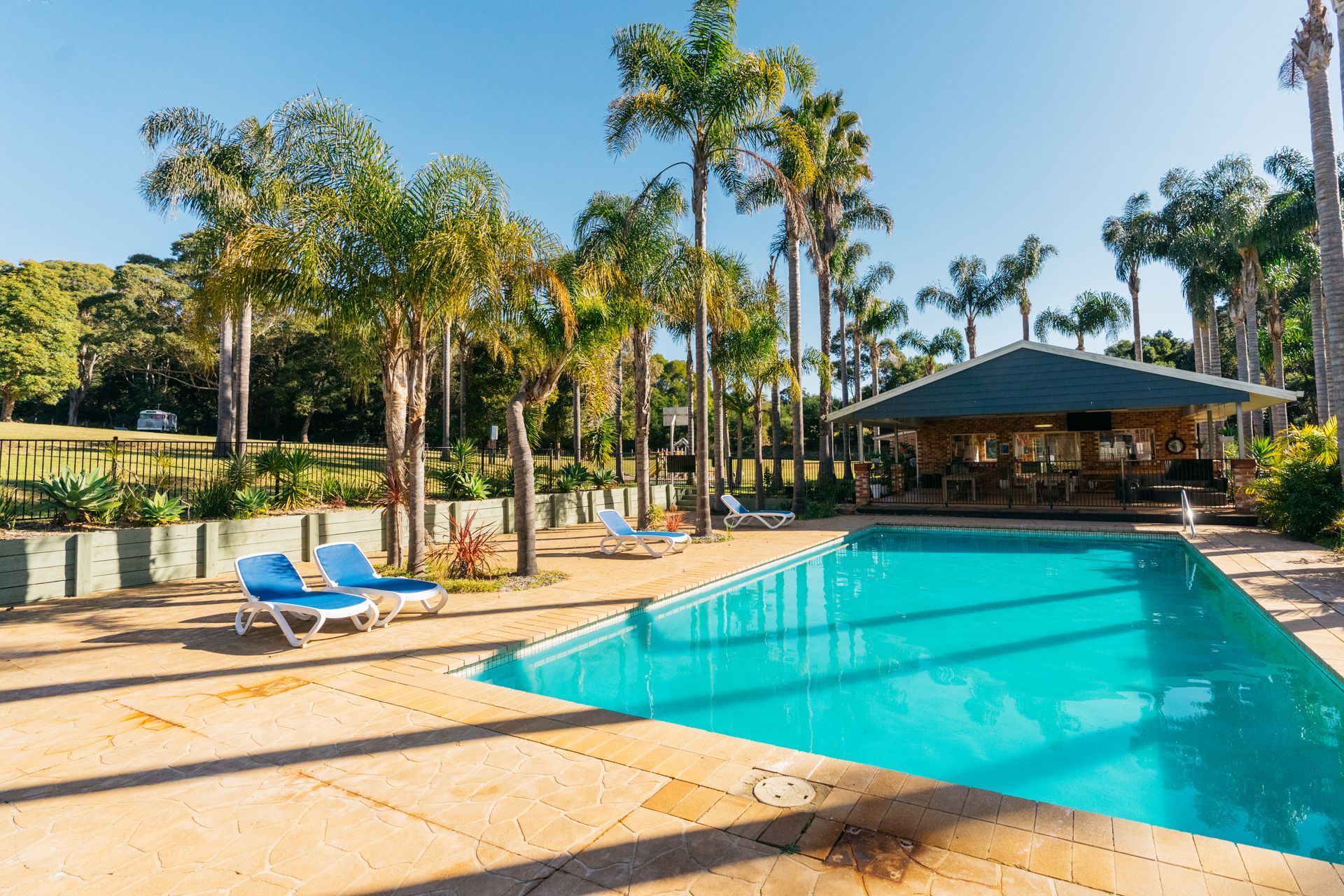 A swimming pool sits under a bright blue sky surrounded by palm trees and lounge chairs next to a covered patio area — SeaChange Parks Milton in Milton, NSW