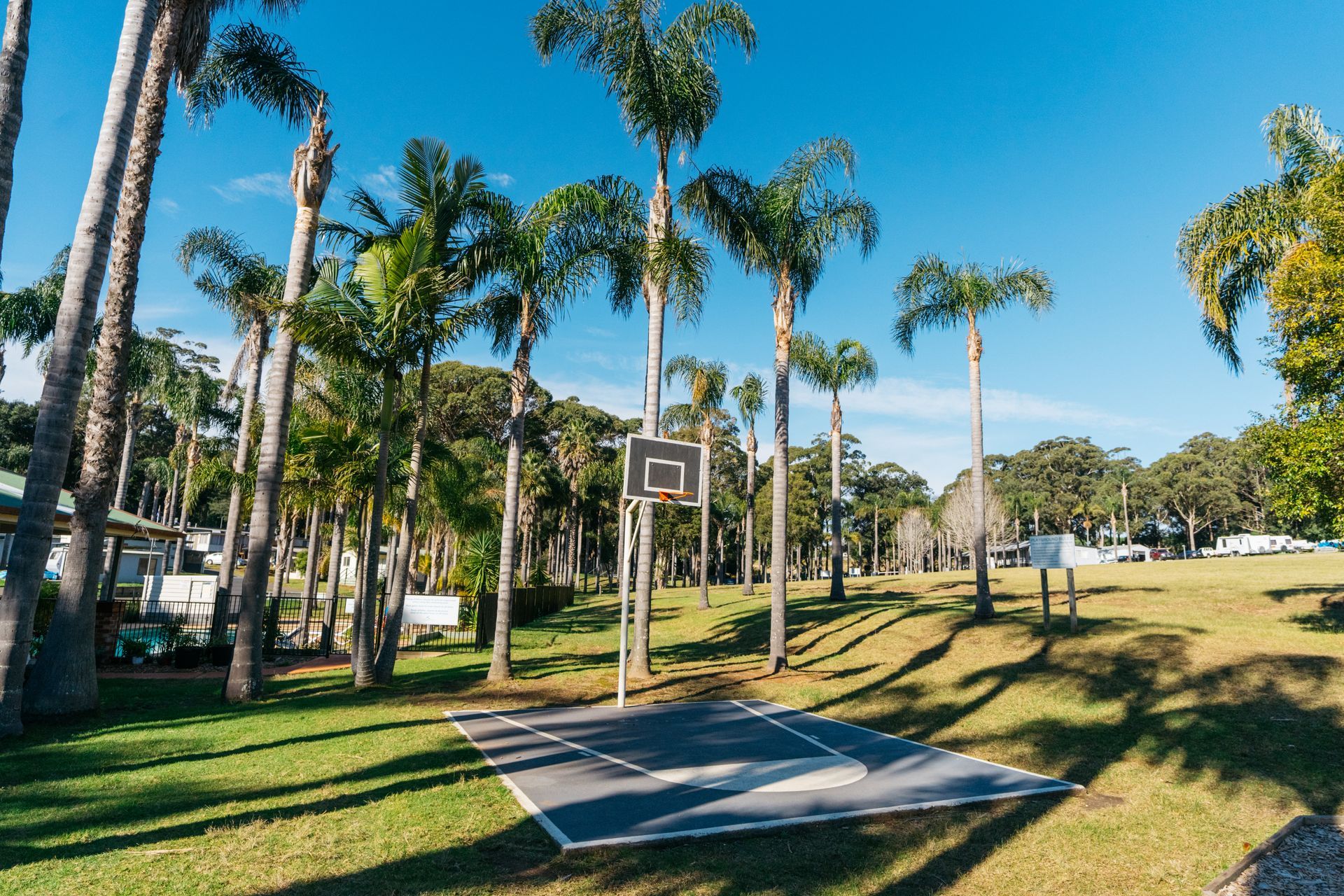 A basketball hoop stands on a small paved court surrounded by palm trees in a grassy park under a bright blue sky  — SeaChange Parks Milton in Milton, NSW