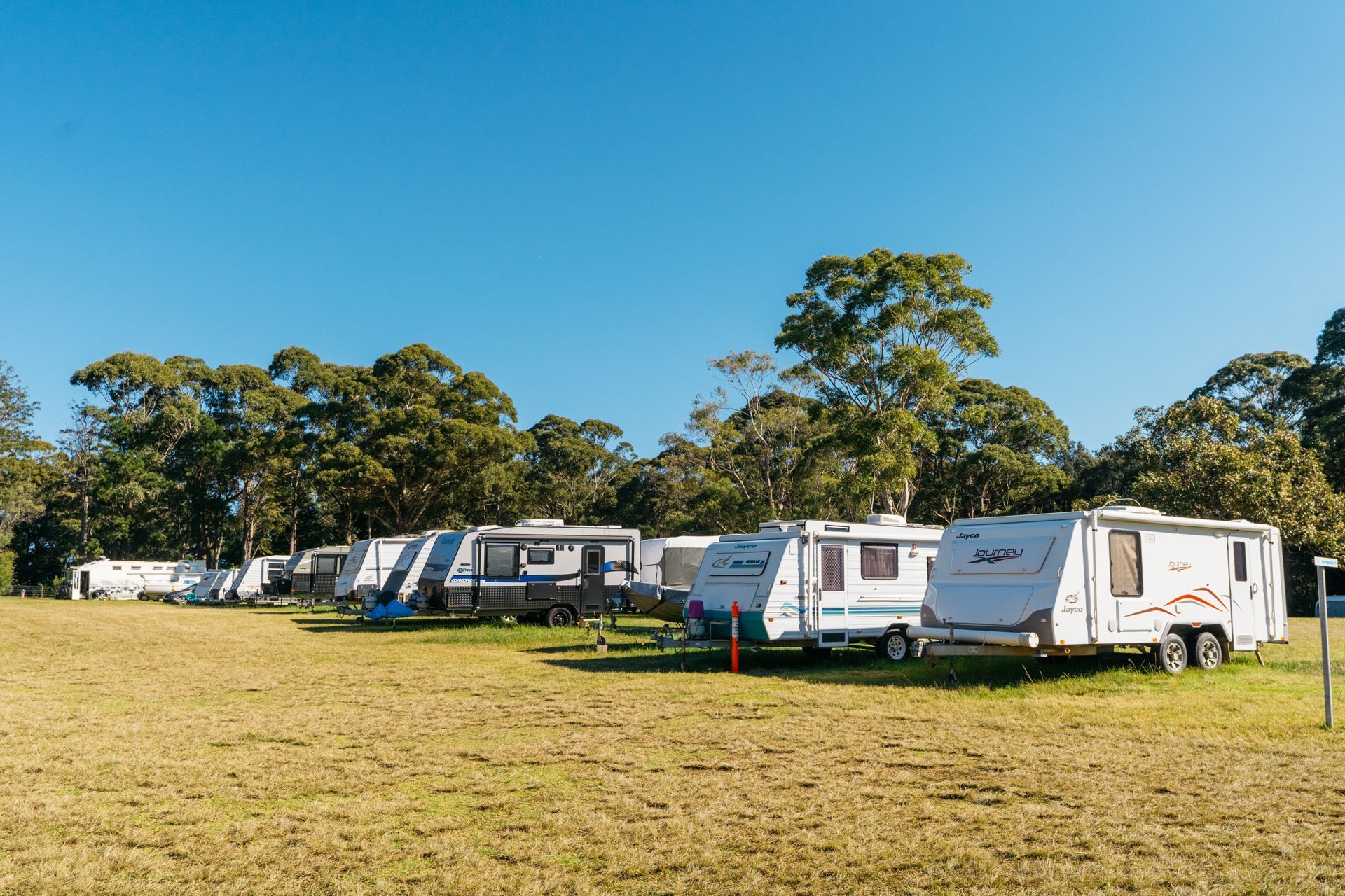 A row of white travel trailers parked on a grassy field in front of a line of green trees under a clear blue sky — SeaChange Parks Milton in Milton, NSW