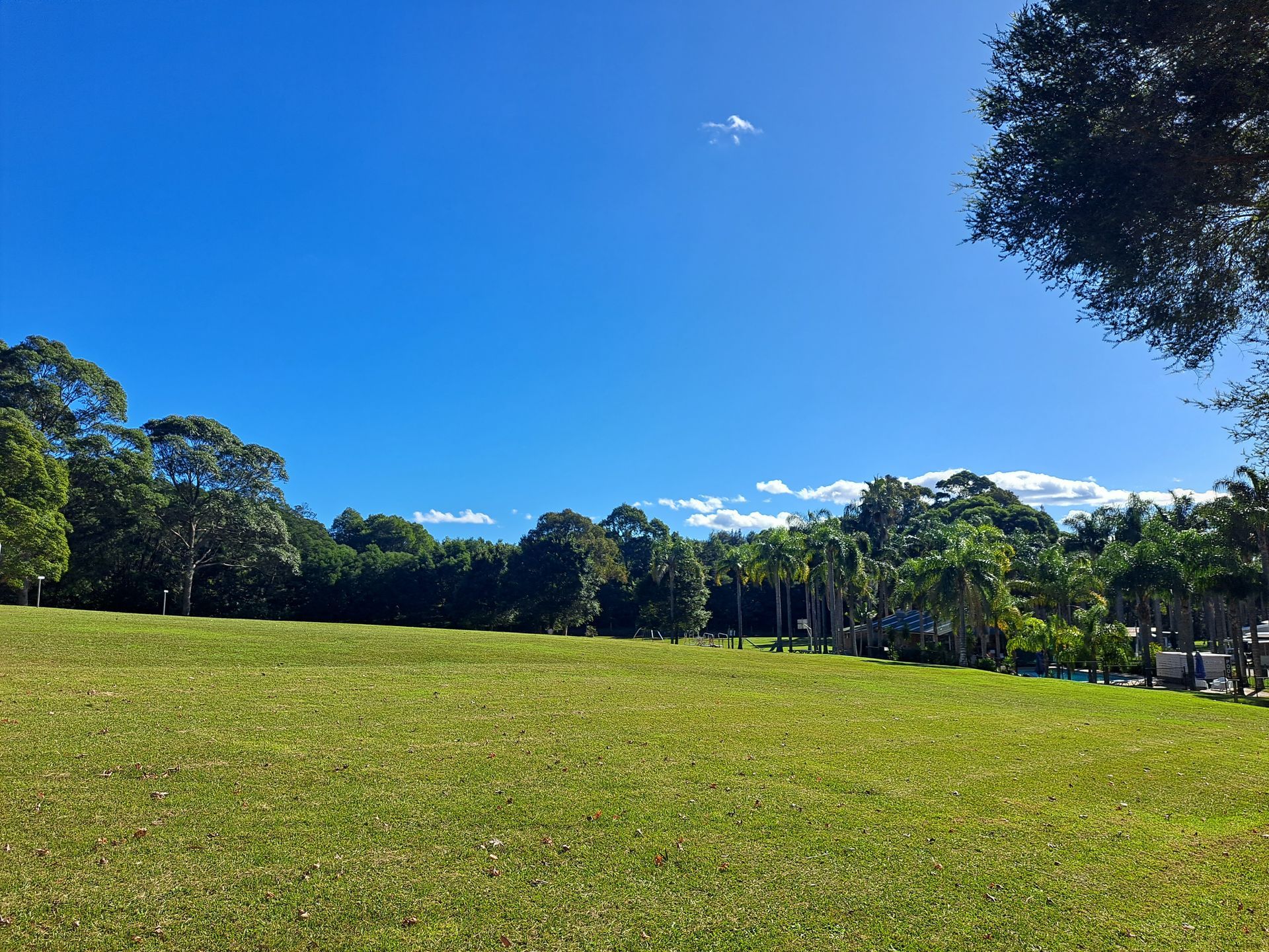 Wide grassy field under a bright blue sky, bordered by trees — SeaChange Parks Milton in Milton Park, NSW
