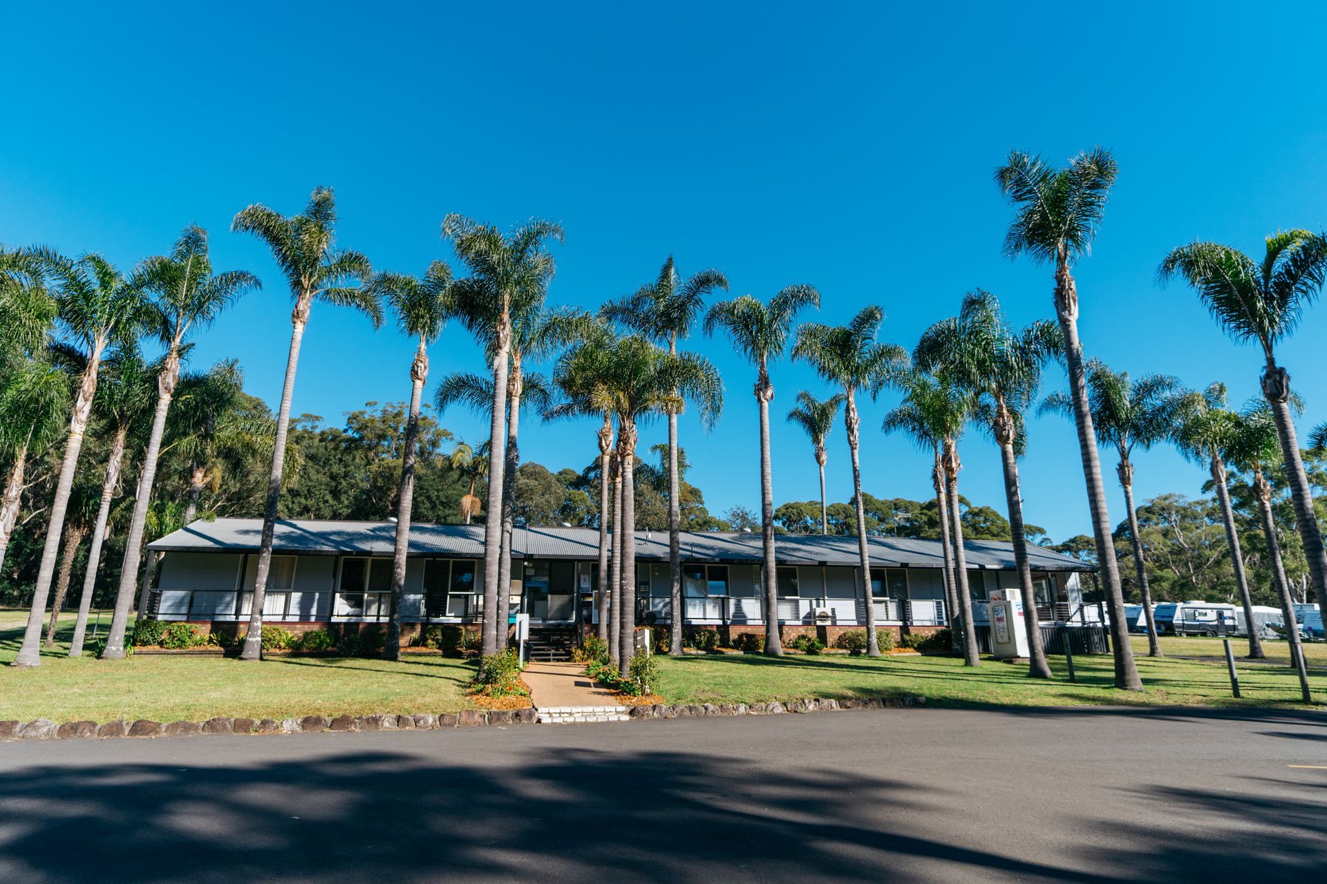 A long, gray, single-story building sits under a clear blue sky, framed by a row of tall palm trees on a sunny day  — SeaChange Parks Milton in Milton, NSW