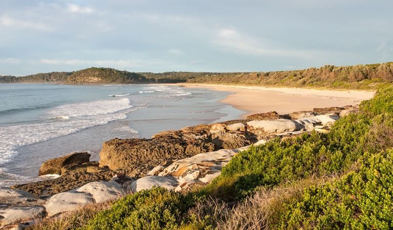 A scenic sandy beach meets the ocean, framed by low, rocky tide pools and lush green coastal scrub under a clear sky — SeaChange Parks Milton in Milton, NSW
