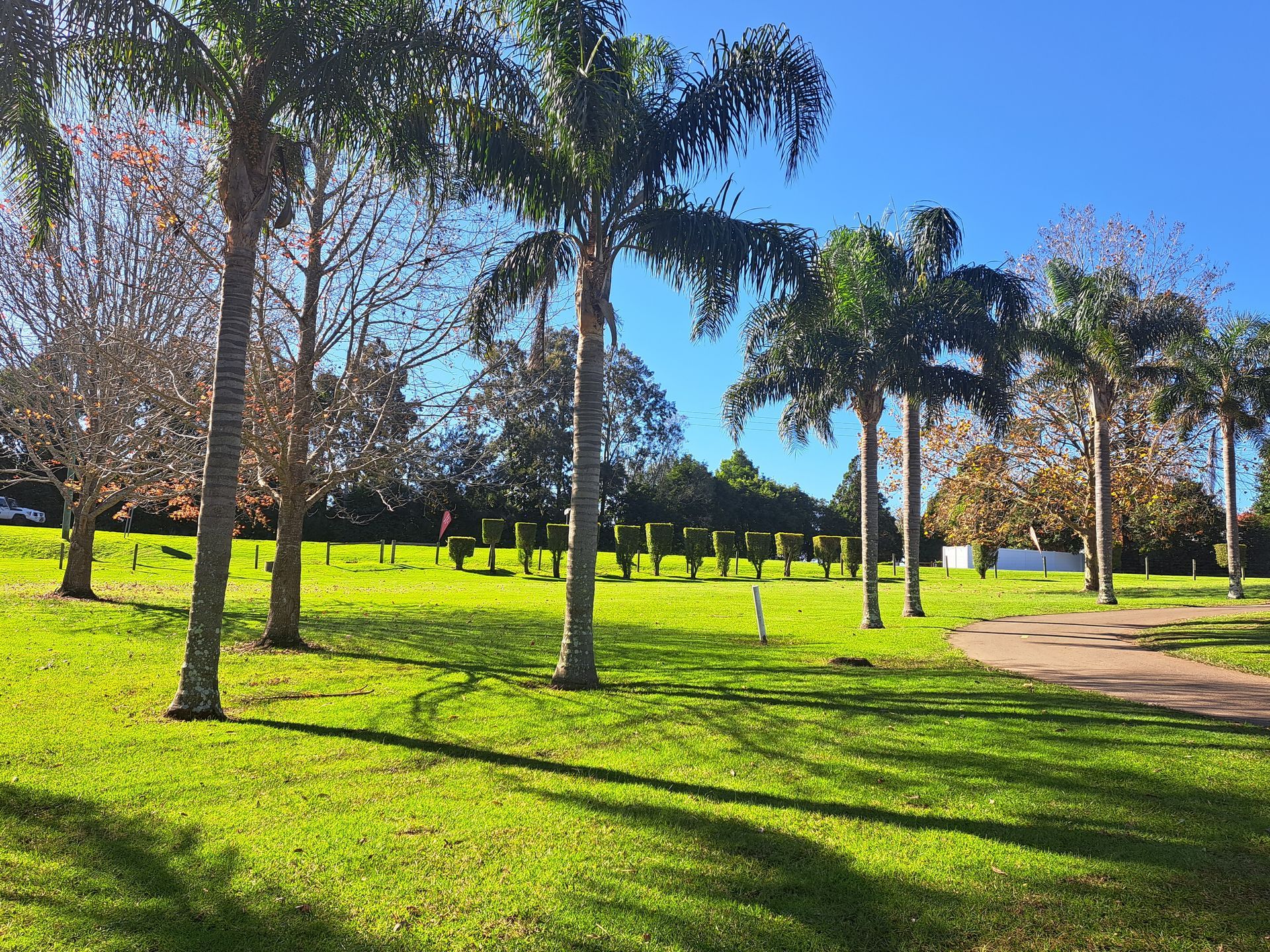 Sunny park with palm trees, bright green grass, and a winding path — SeaChange Parks Milton in Milton Park, NSW