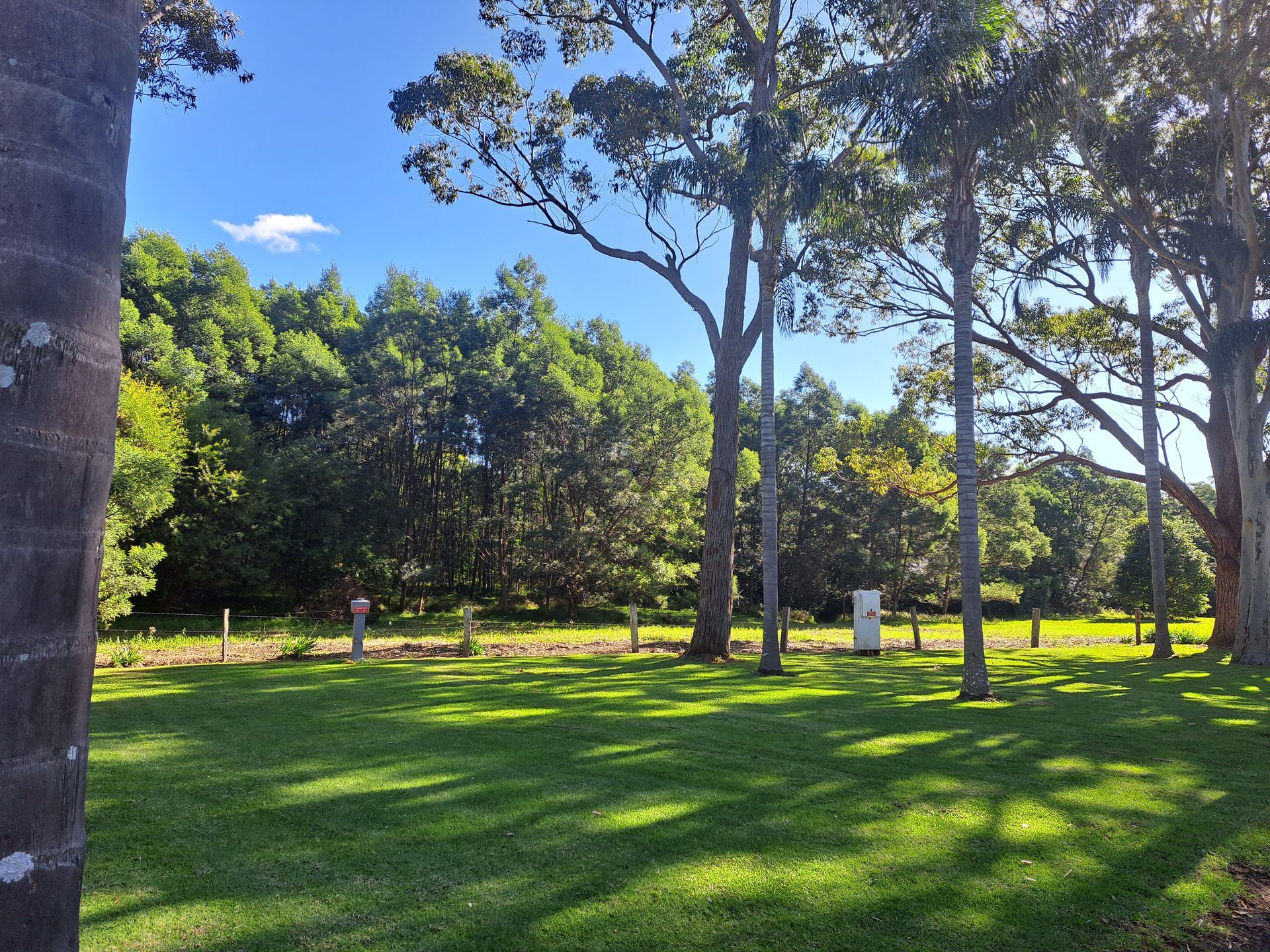 A sunny, grassy park area with large trees and a small white marker near a wooden fence line  — SeaChange Parks Milton in Milton, NSW
