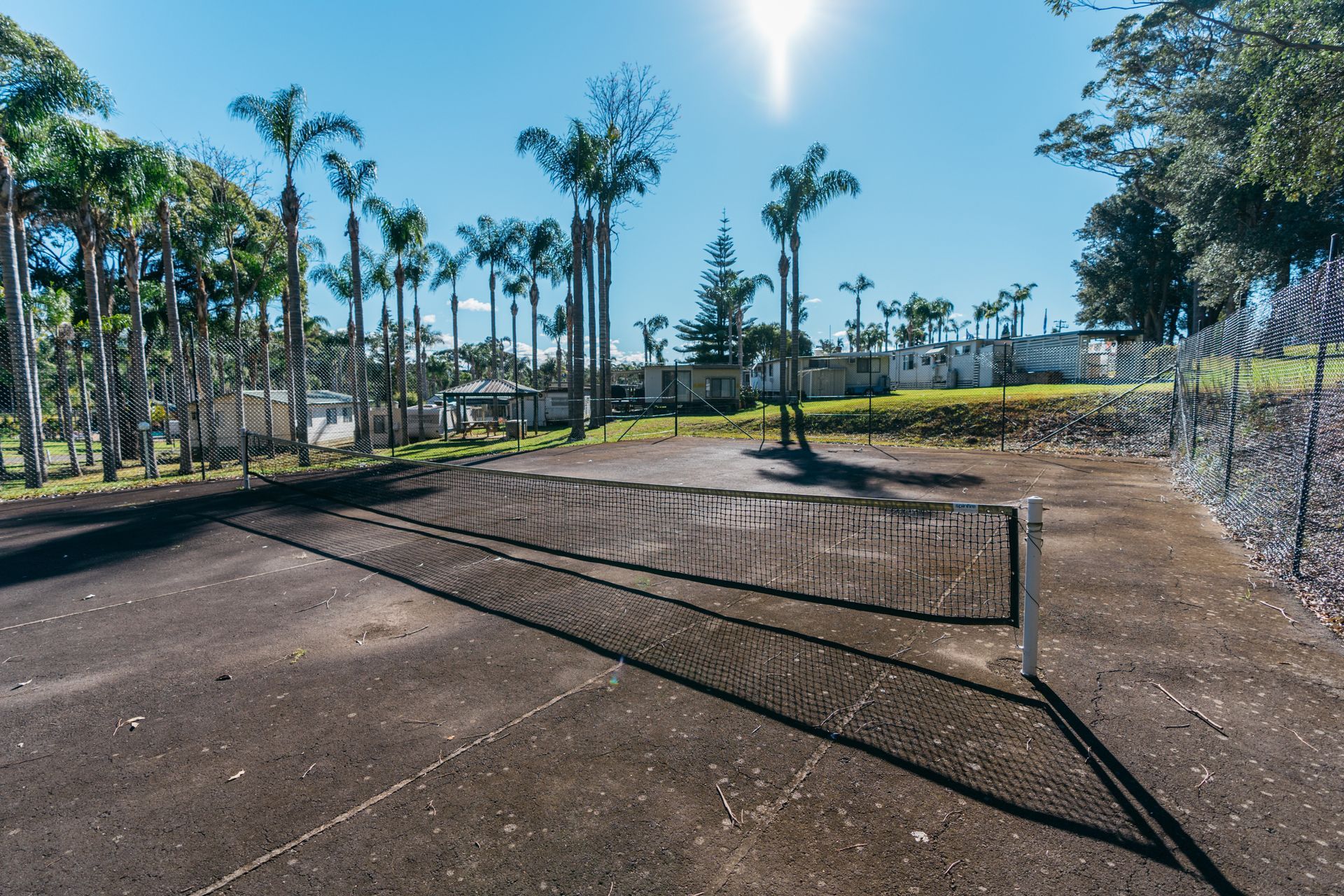 A weathered outdoor tennis court with a central net, surrounded by palm trees and a chain-link fence under a sunny sky  — SeaChange Parks Milton in Milton, NSW