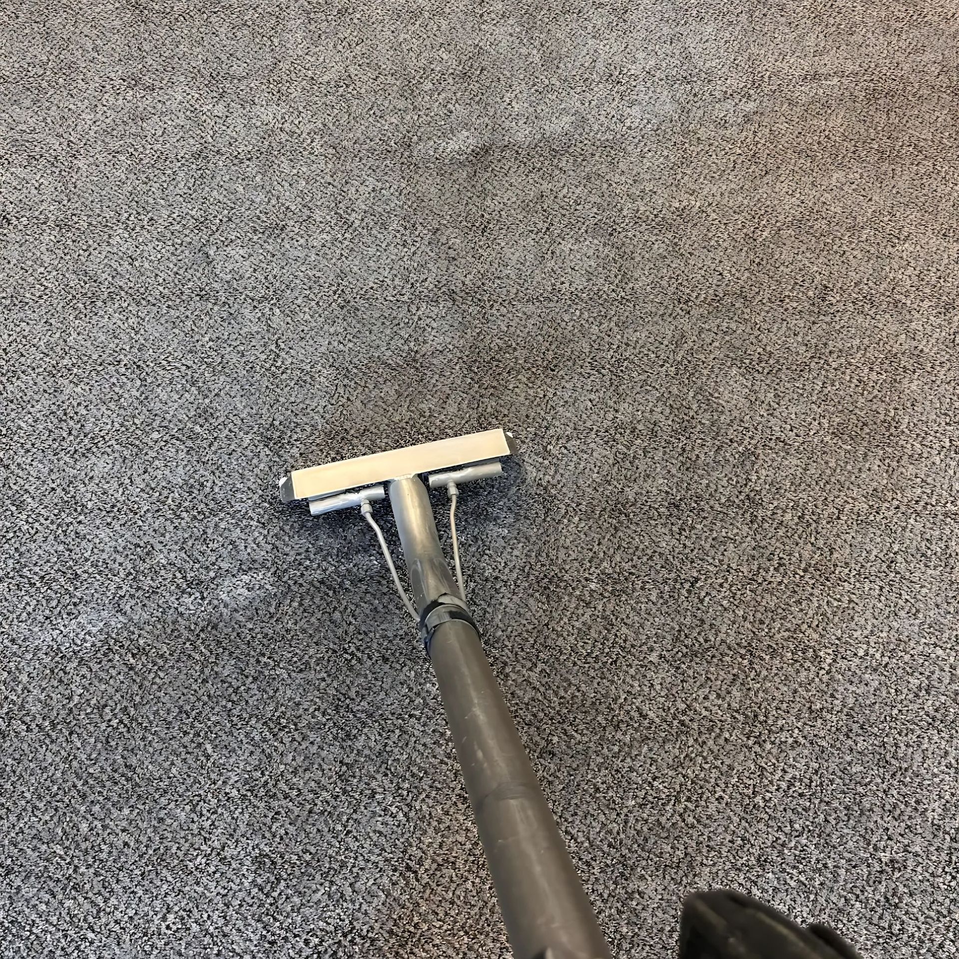 Clean Dry Carpet Care - A vacuum cleaner is being used to clean a carpet.