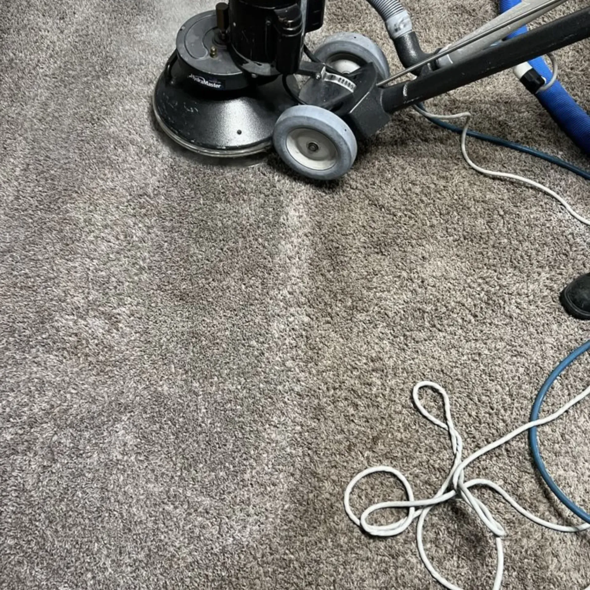 Clean Dry Carpet Care - A vacuum cleaner is cleaning a carpet in a room.