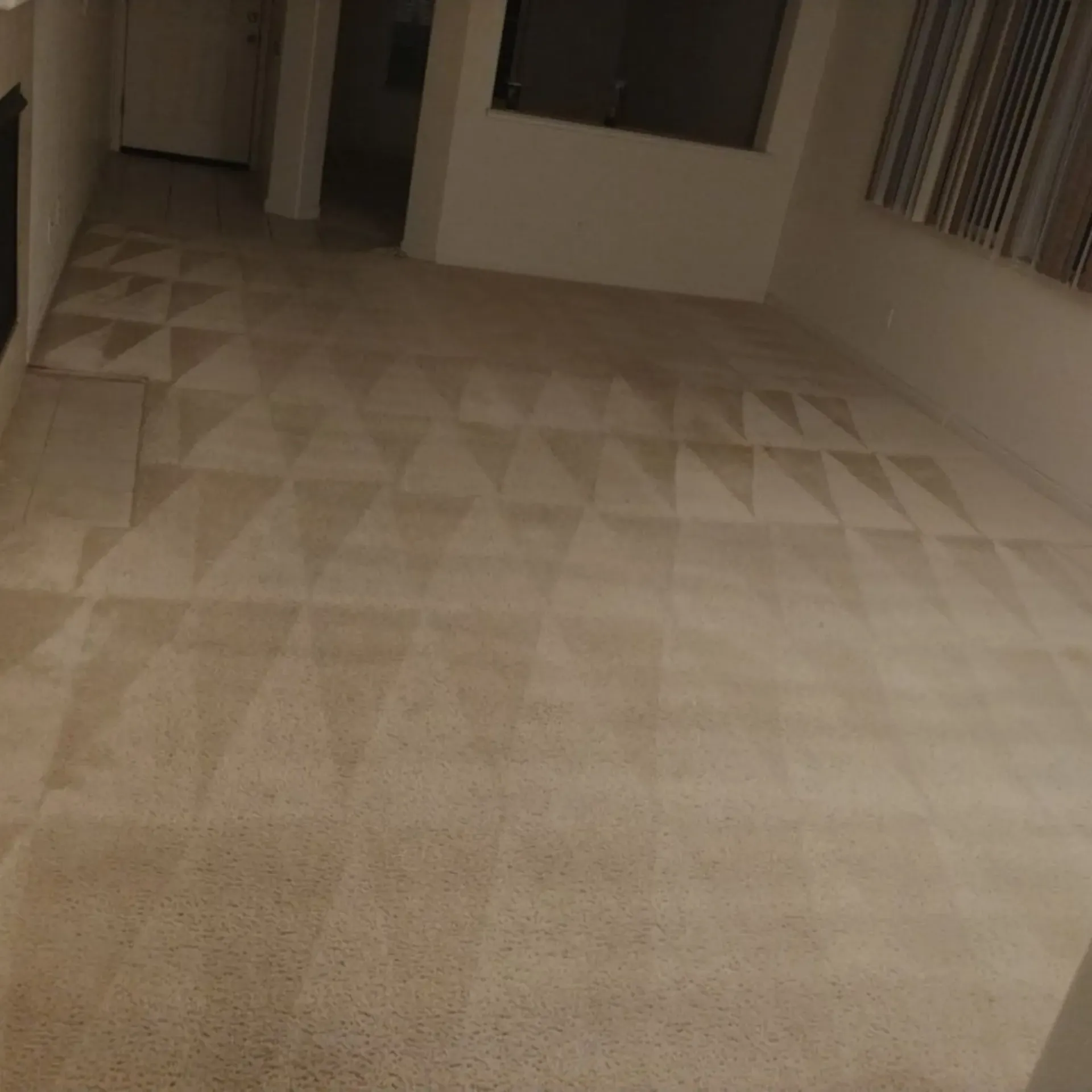 Clean Dry Carpet Care - A living room with a carpeted floor and a fireplace.