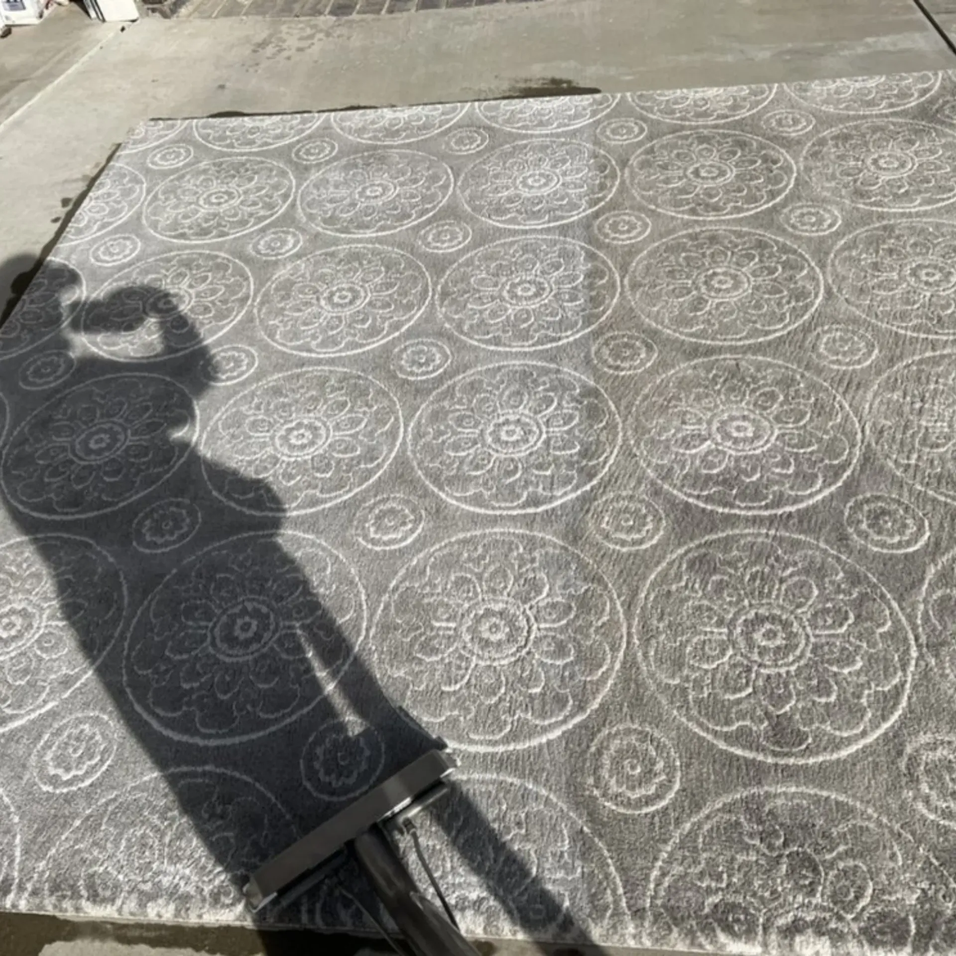 Clean Dry Carpet Care - A shadow of a person is cast on a rug with circles on it.