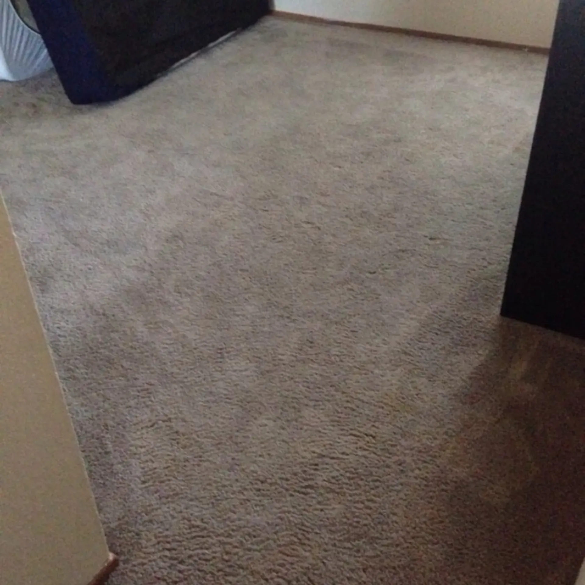 Clean Dry Carpet Care - A room with a carpeted floor and a couch in the background.