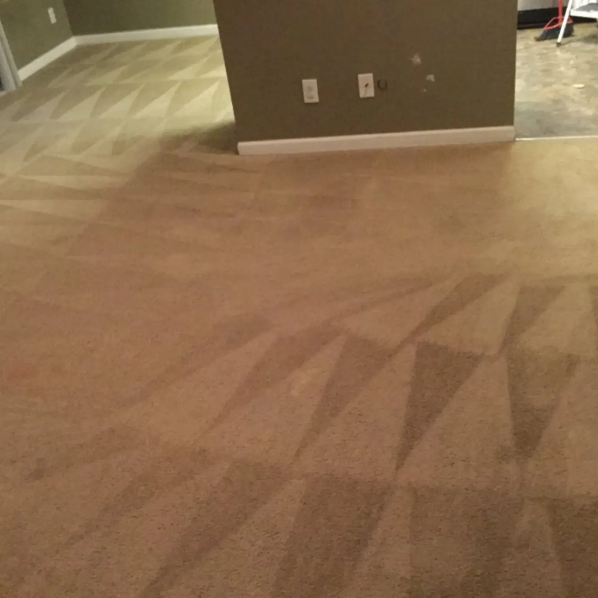 Clean Dry Carpet Care - A carpeted floor in a room with a ladder in the background