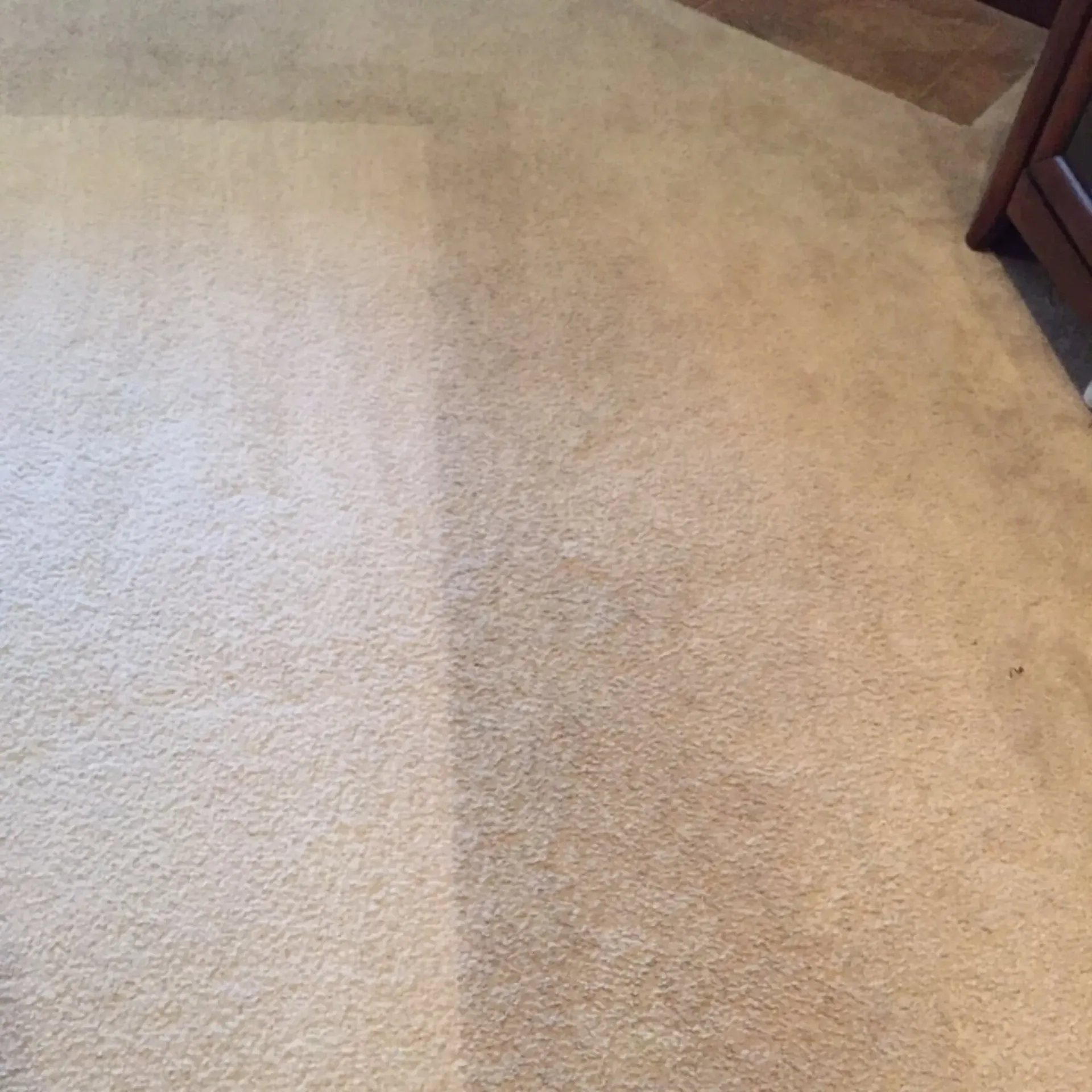 Clean Dry Carpet Care - A close up of a carpet in a room with a stain on it.