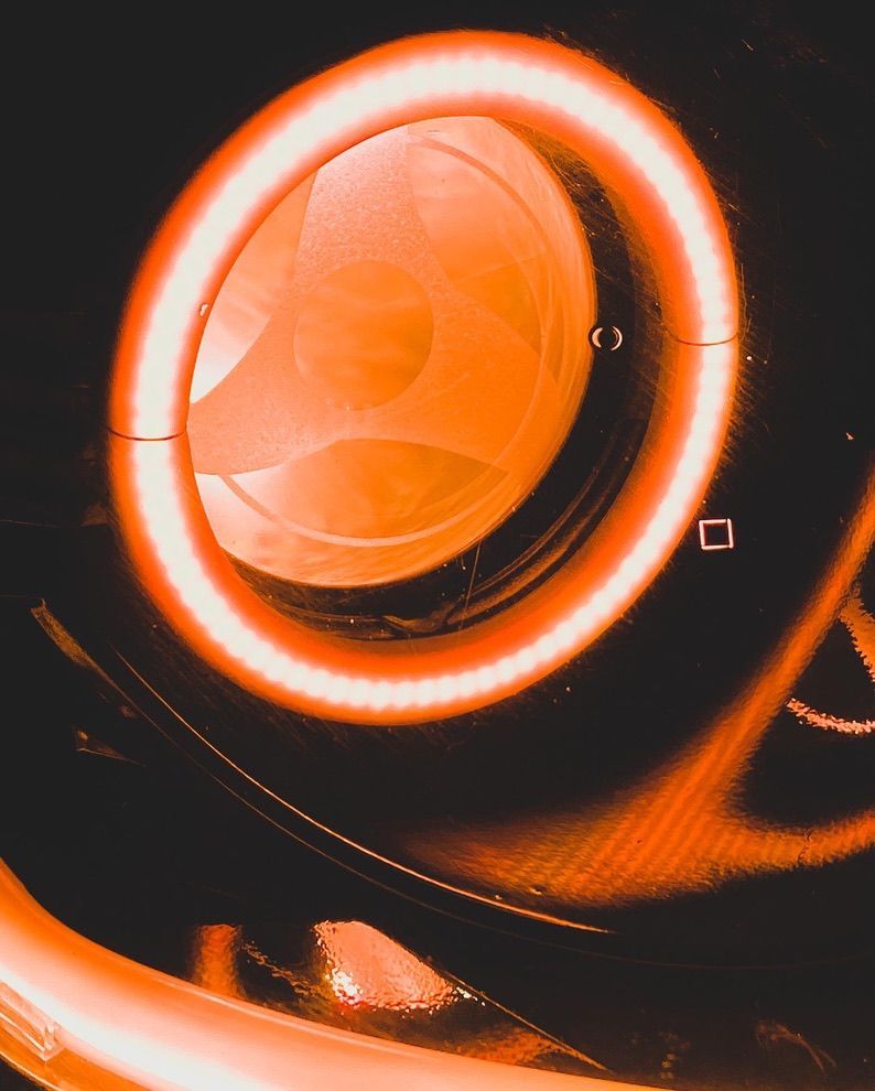 Orange Halo Close-up