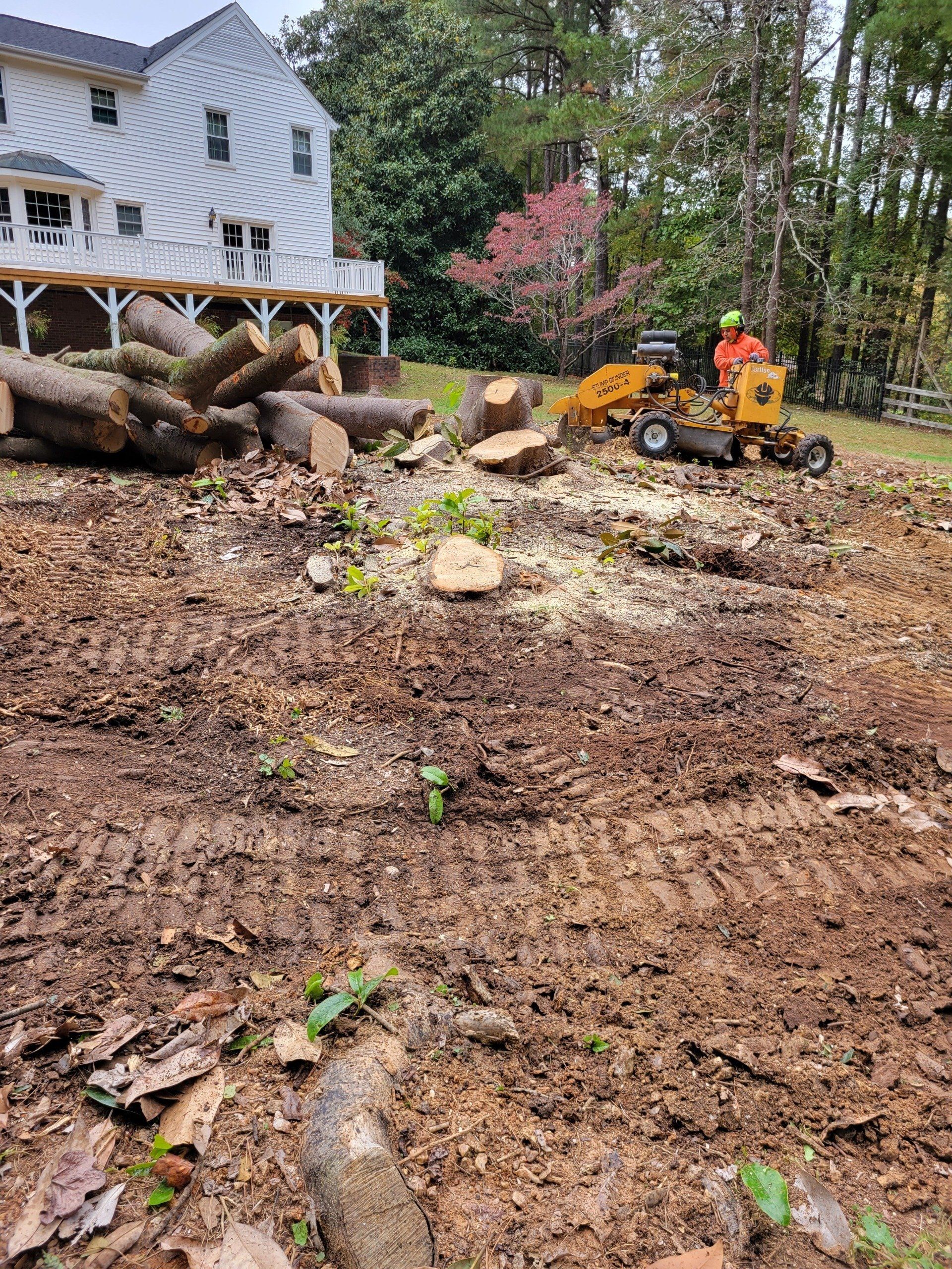 Land Clearing Project in Durham, NC