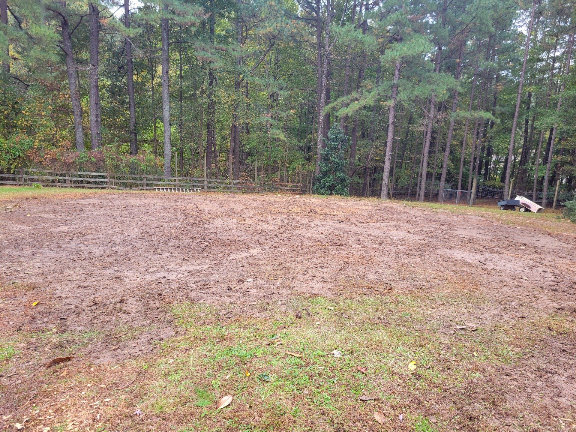 Local Yard in Durham, NC