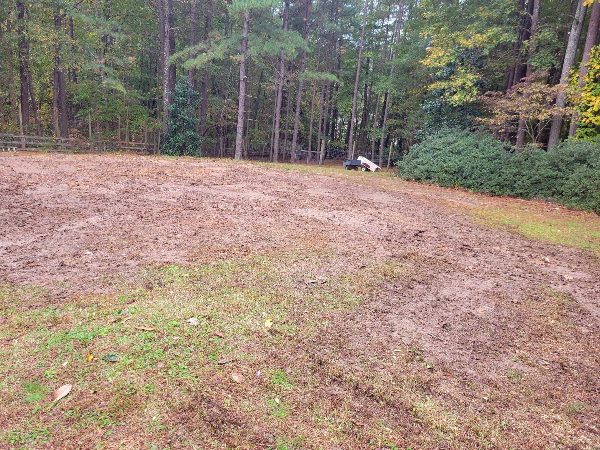 Large Yard in Chapel Hill, NC