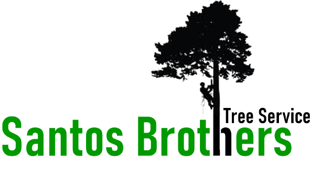 Santos Brothers Tree Service Logo
