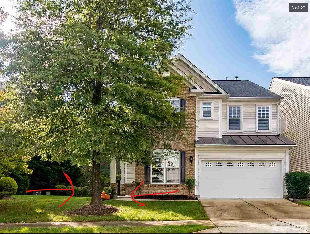 Local Landscape in Durham, NC