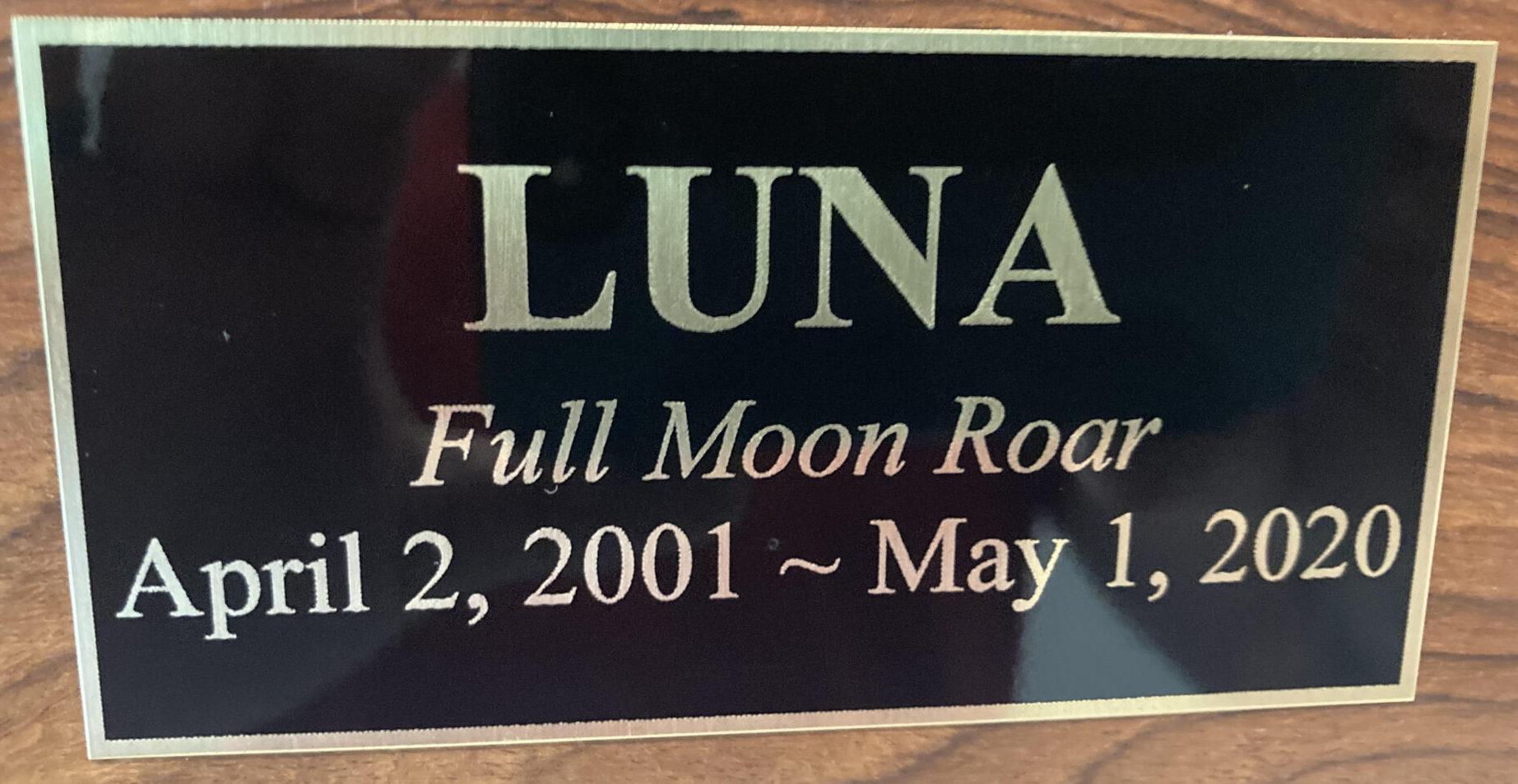 Dixie Memorial Pet Gardens 2