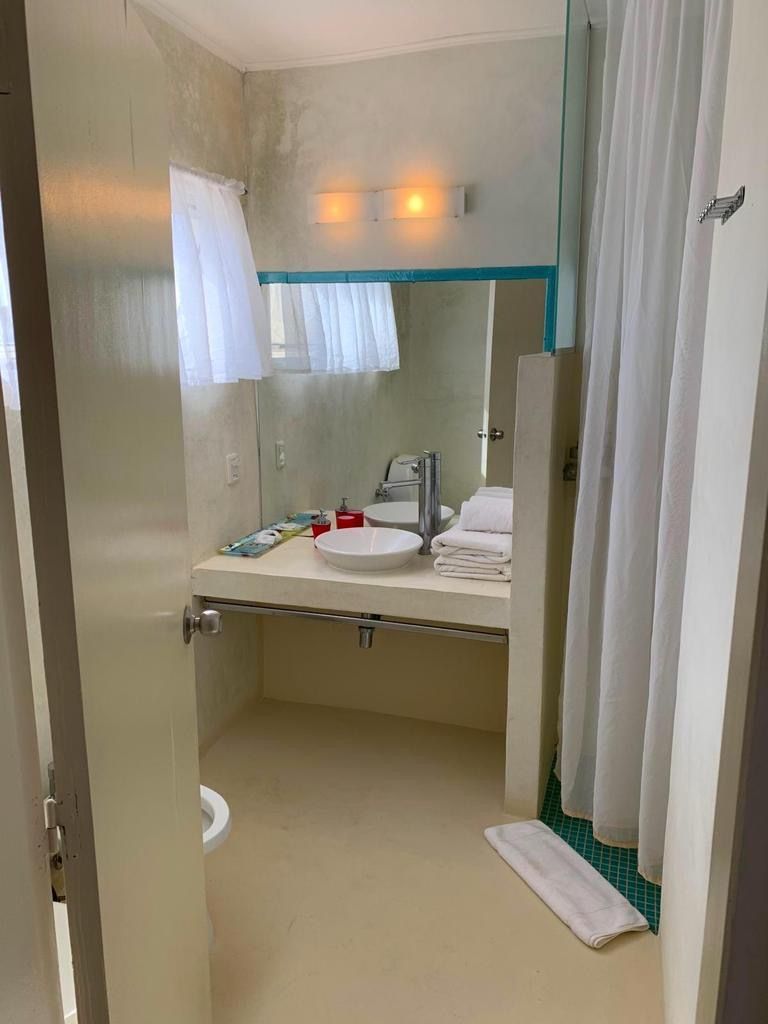 Un baño con lavabo, espejo y cortina de ducha.