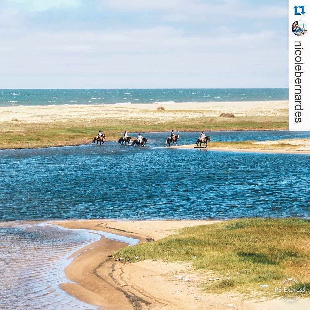 Un grupo de personas va a caballo a través de un cuerpo de agua.