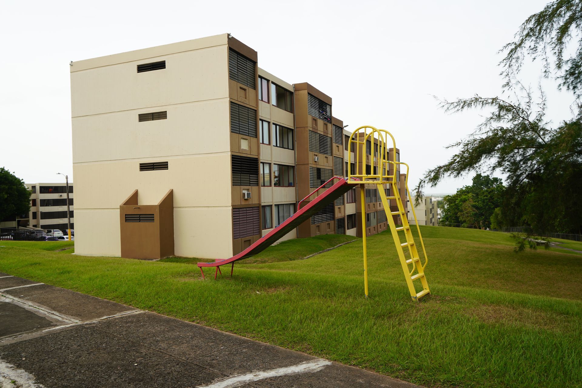 Principal 1
