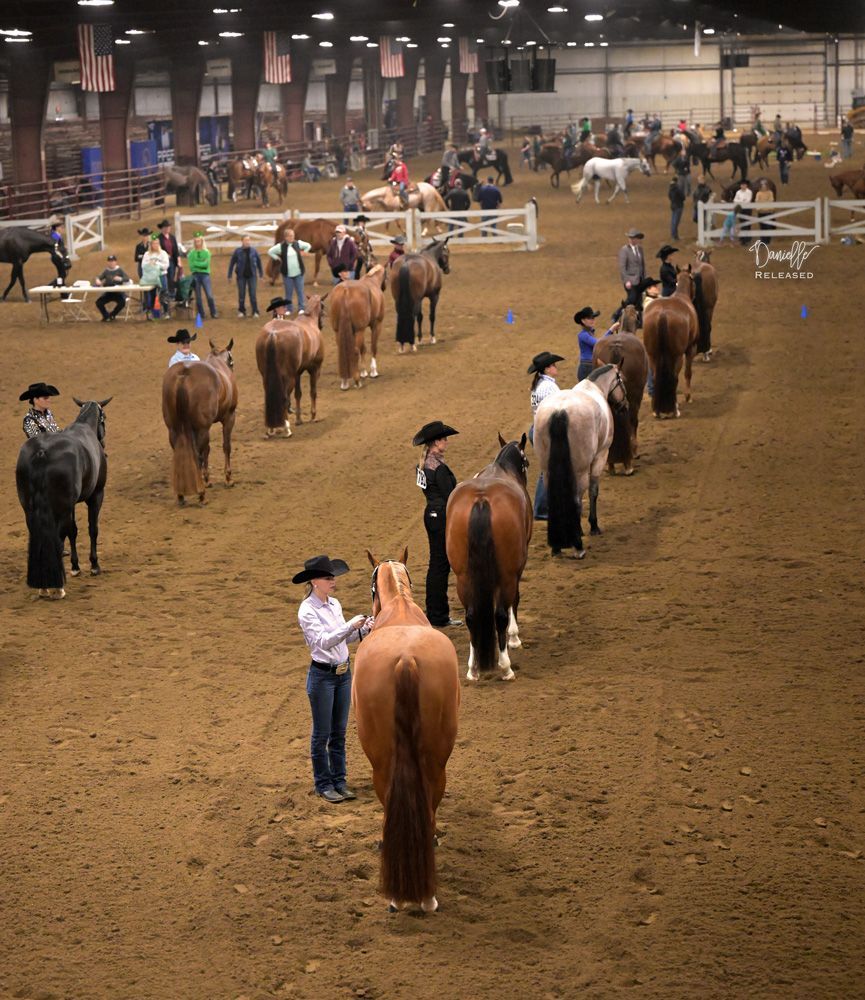 Indoor horse show with riders lining up in an arena, viewed from behind
