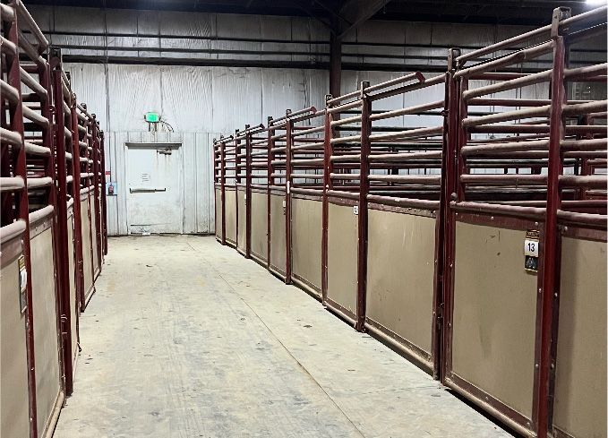 Cattle stalls in a long, dim, concrete hallway with a door at the end.