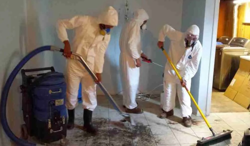 Professionals cleaning a suicide