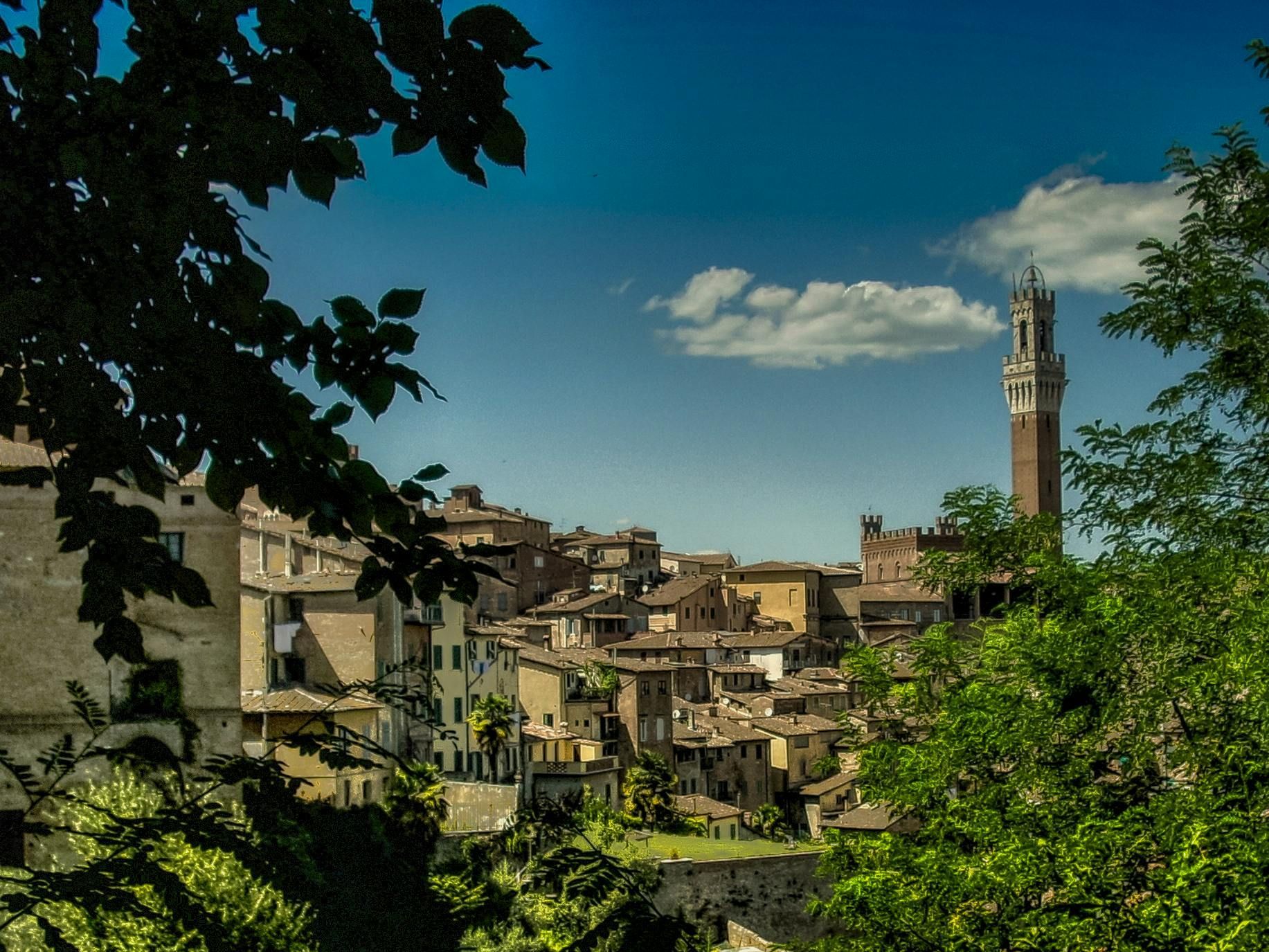 Private Half Day Tour: Visit Siena & Chianti Classic tour with Wine Experience