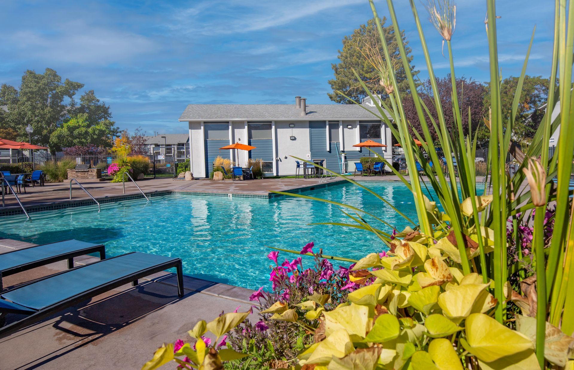 there is a large swimming pool in the middle of a park .