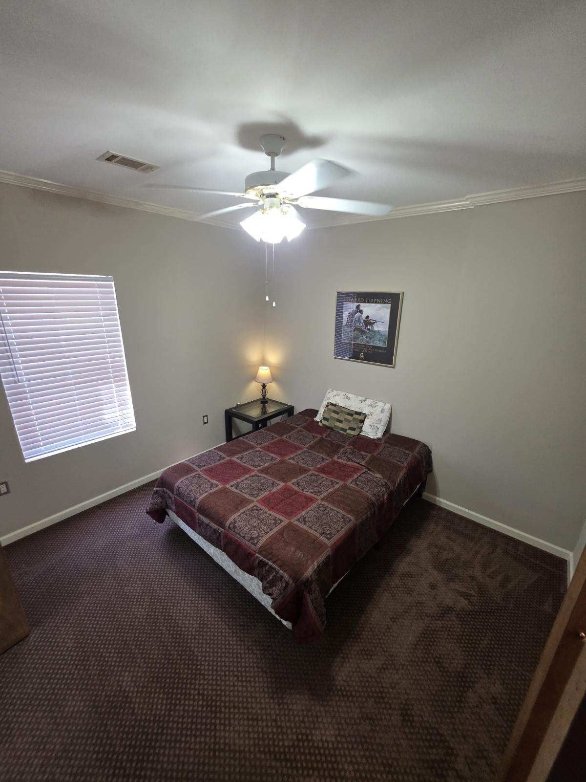 Bedroom with a bed, nightstand, artwork, window with blinds, and ceiling fan. Dark brown carpet and walls.