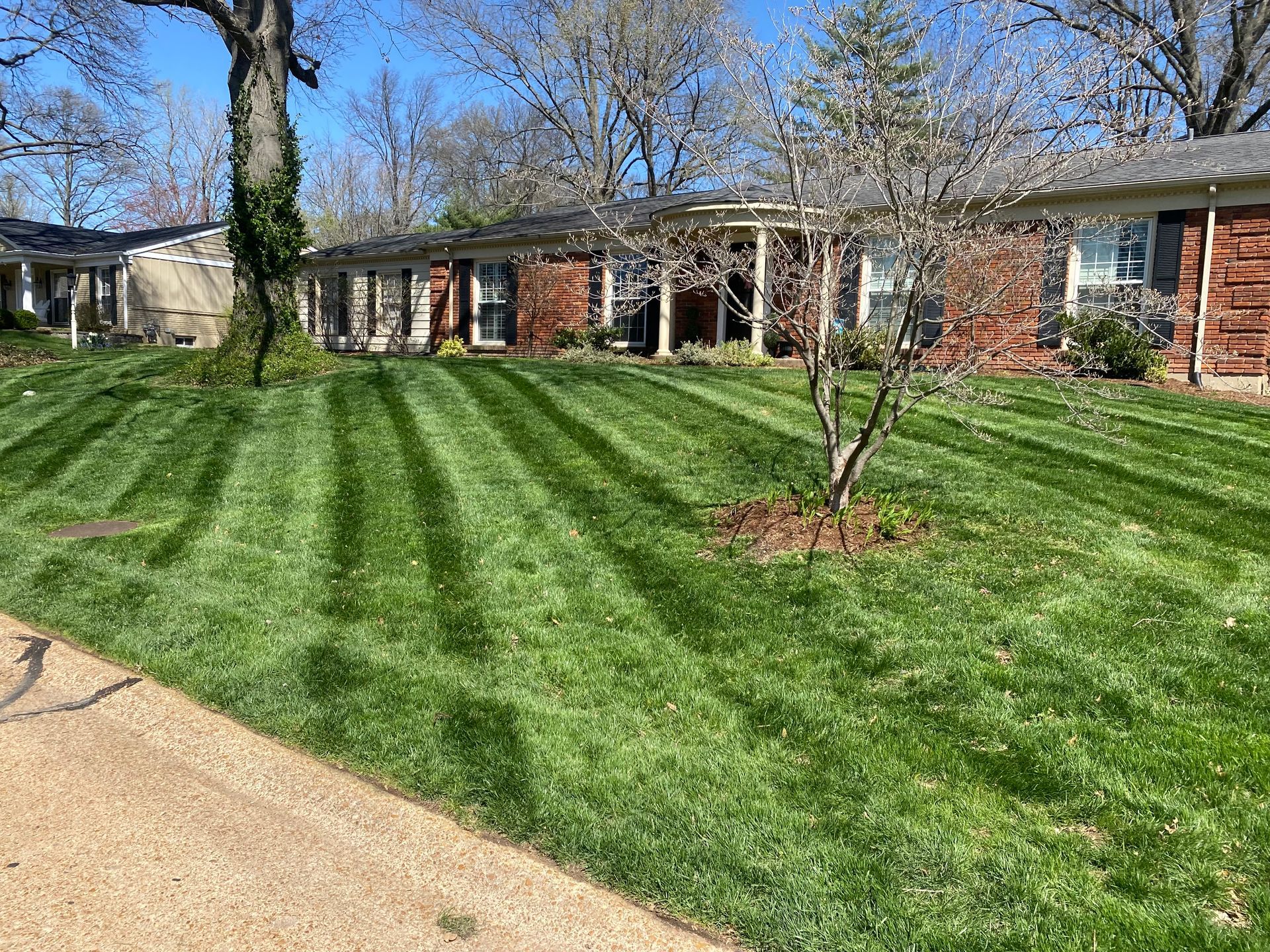 Lawn with mowing stripes in front of a red brick building with trees on a sunny day.