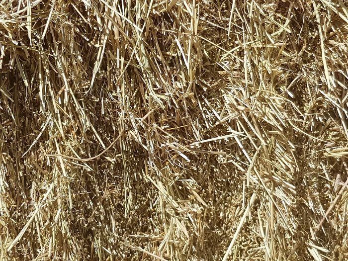 A Close Up of a Pile of Hay — Blue River Landscape Supplies in Foulden, QLD