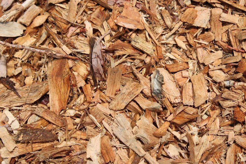 A Pile of Tea Tree is Laying on the Ground — Blue River Landscape Supplies in Foulden, QLD