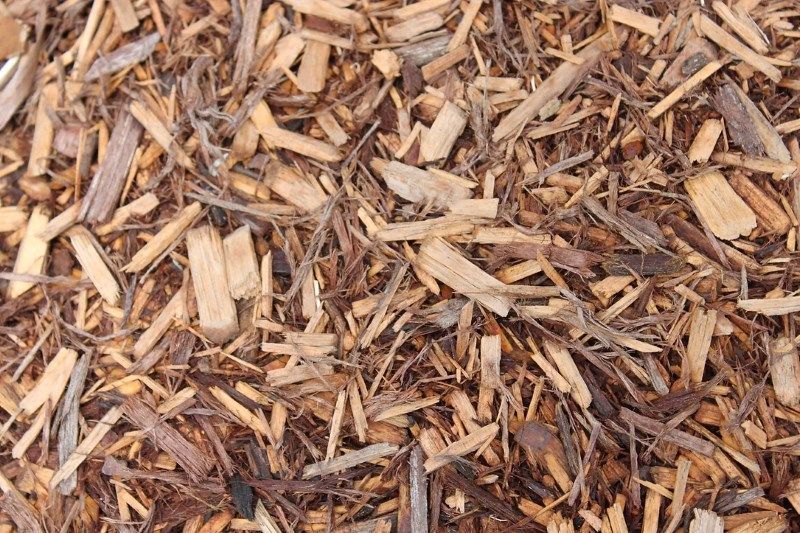 A Close Up of a Pile of Thin Wood Chips — Blue River Landscape Supplies in Foulden, QLD