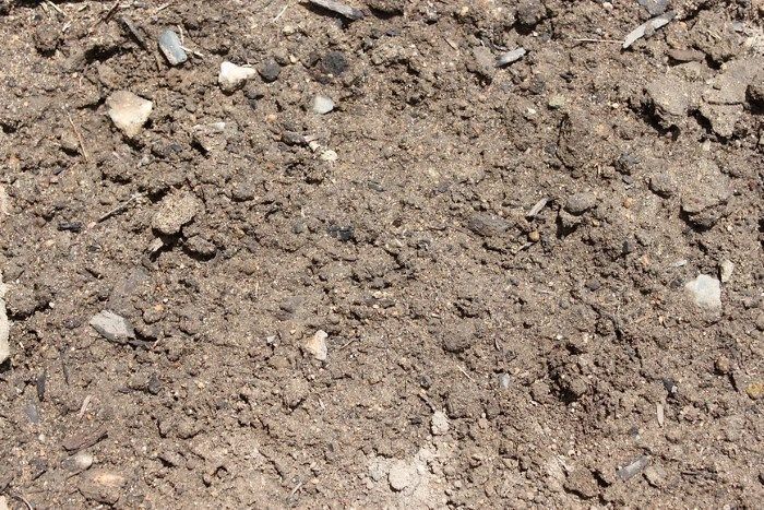 A Close Up of a Garden Soil — Blue River Landscape Supplies in Foulden, QLD