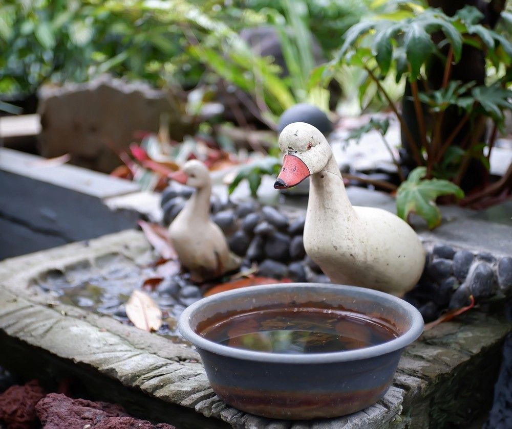 A Statue of a Duck is Sitting Next to a Bowl of Water — Blue River Landscape Supplies in Foulden, QLD