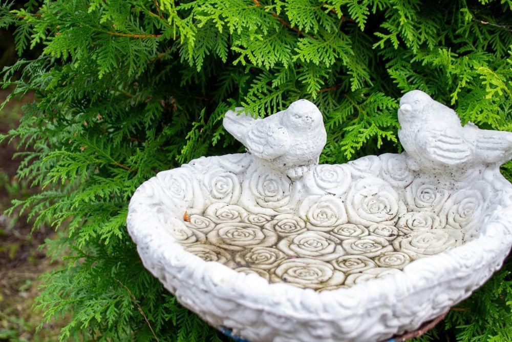 A Bird Bath With Two Birds in It is Sitting Under a Tree — Blue River Landscape Supplies in Foulden, QLD
