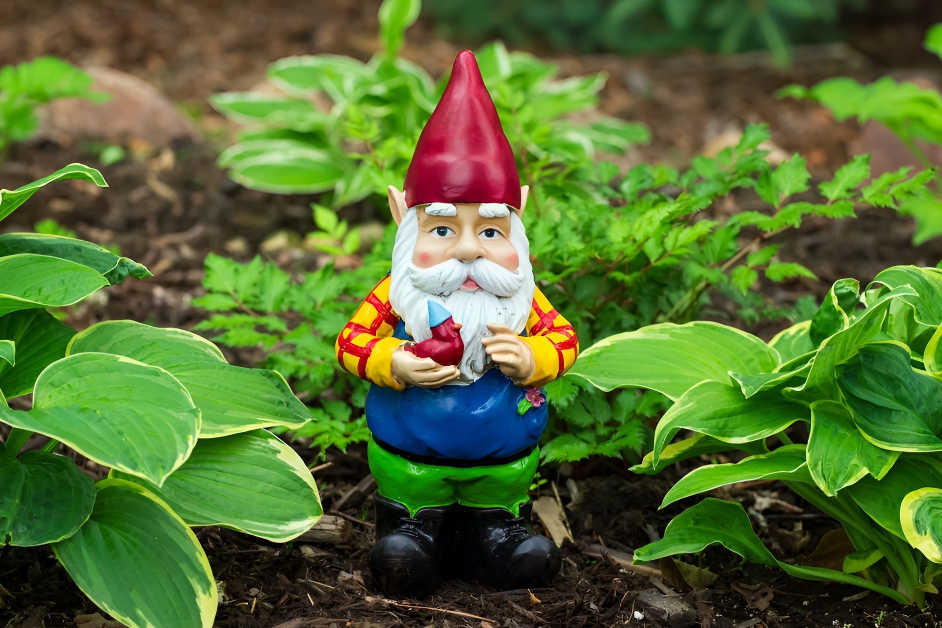 A Group of Gnomes Are Sitting on a Stone Shelf in a Garden — Blue River Landscape Supplies in Foulden, QLD
