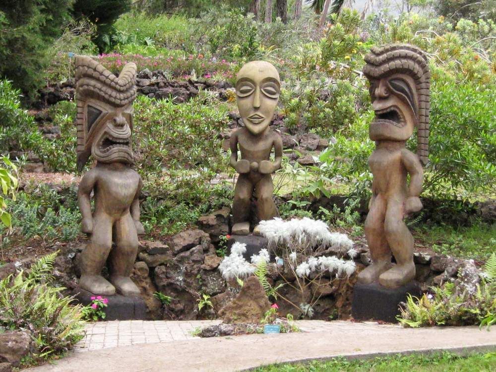A Bunch of Colorful Flowers Are Growing in a Garden — Blue River Landscape Supplies in Foulden, QLD