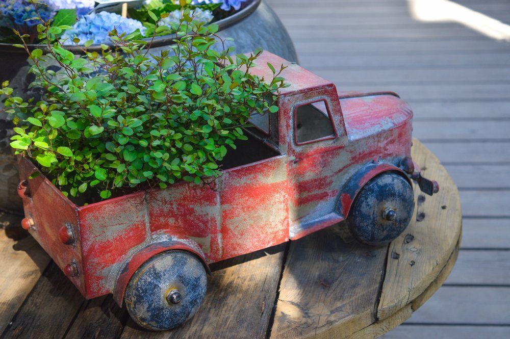 A Red Toy Truck With a Plant in the Back is Sitting on a Wooden Table — Blue River Landscape Supplies in Foulden, QLD