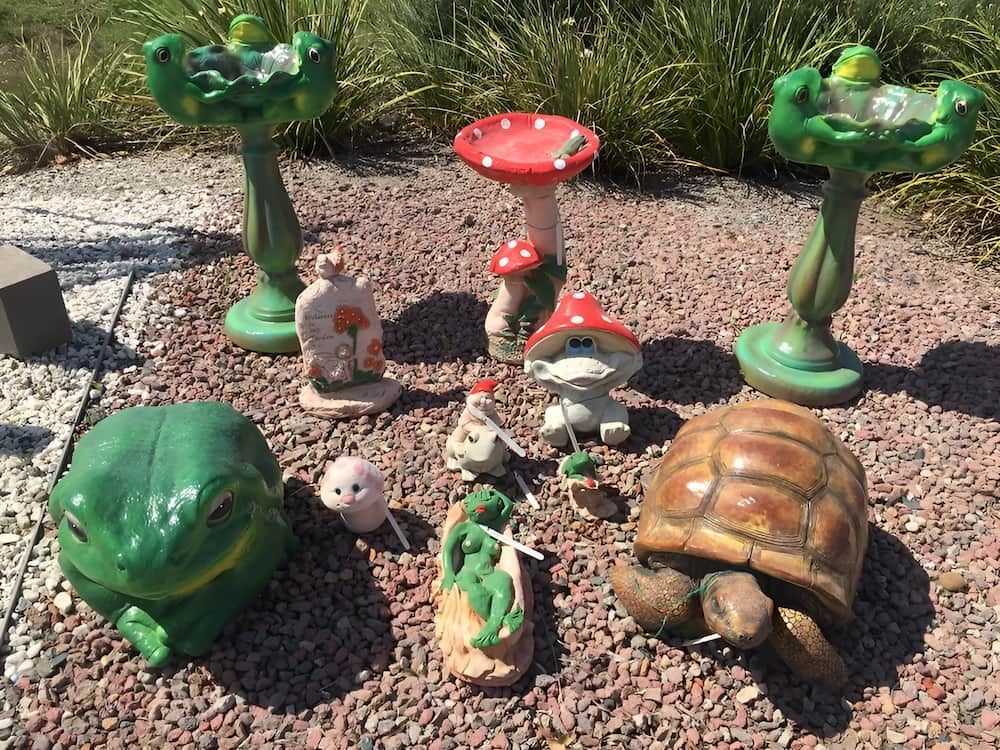 A Group Of Statues Of Frogs , Mushrooms , A Turtle And A Bird Bath  — Blue River Landscape Supplies in Foulden, QLD