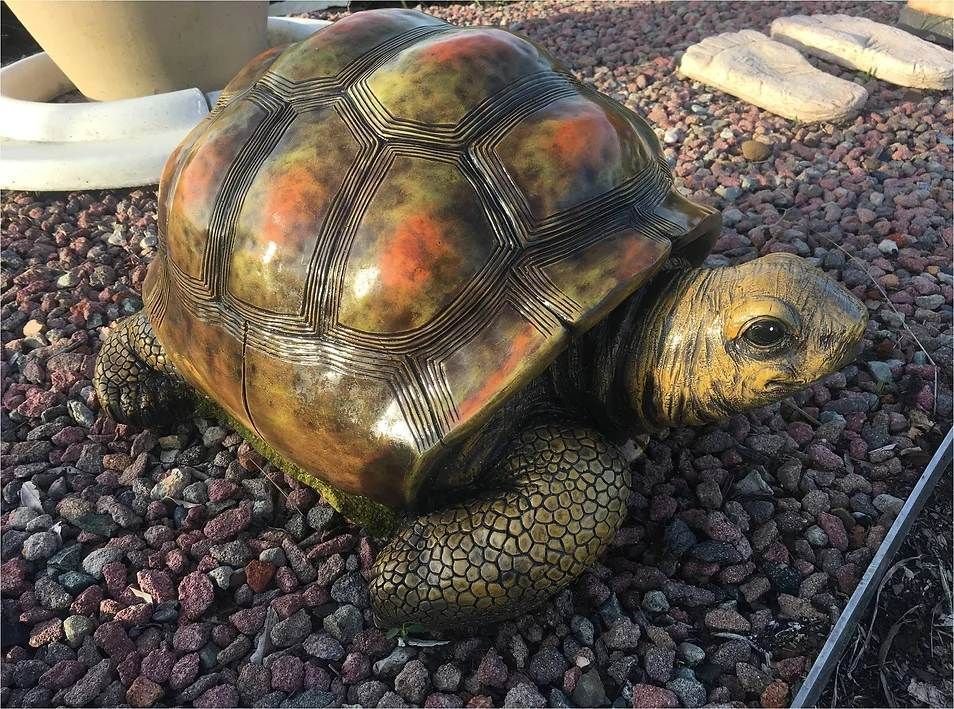A Statue of a Turtle is Sitting on a Pile of Rocks — Blue River Landscape Supplies in Foulden, QLD