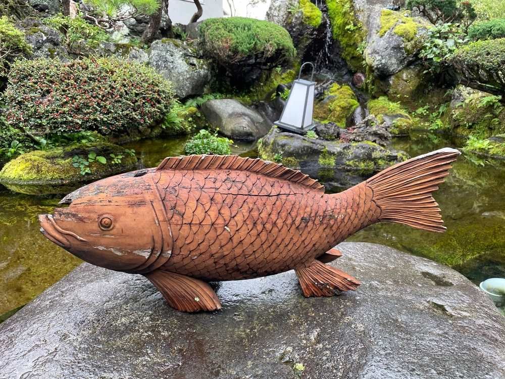 A Bunch of Colorful Flowers Are Growing in a Garden — Blue River Landscape Supplies in Foulden, QLD