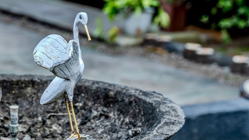 A Small White Bird is Standing on a Rock in a Fountain — Blue River Landscape Supplies in Foulden, QLD